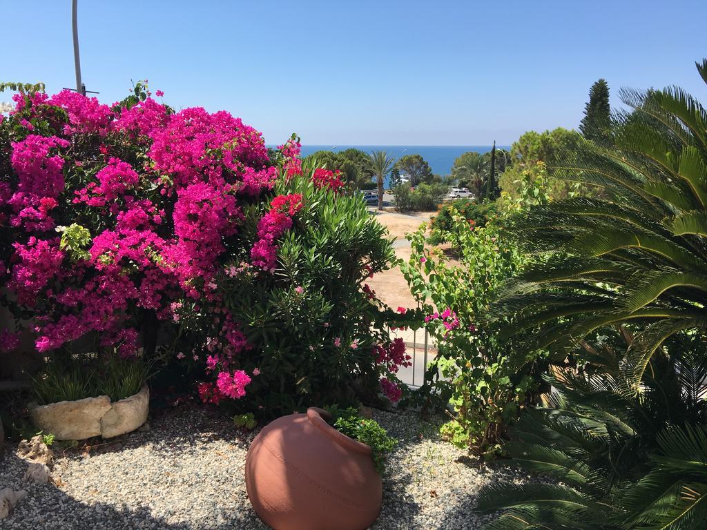 Villa Neyla Four Bedroom Coral Bay Beach Front Zewnętrze zdjęcie